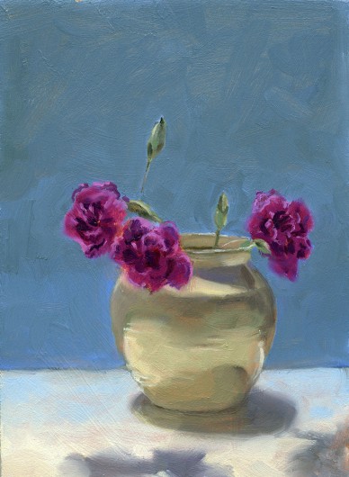 carnations_in_pot